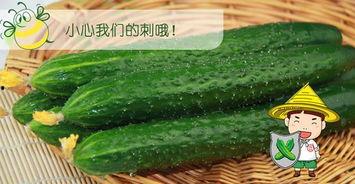 吃瓜配球,解锁夏日休闲新姿势