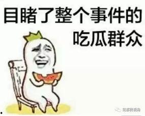 吃瓜群众头像社会,揭秘网络社交背后的众生相