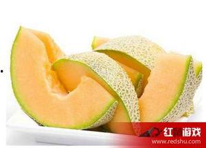 哈密瓜甜可以给宝宝吃嘛,宝宝辅食新选择