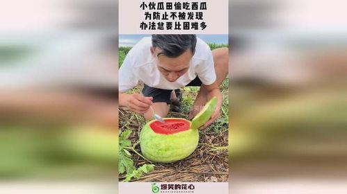 两小伙吃瓜,揭秘娱乐圈幕后真相