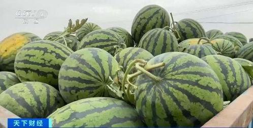 去年今年吃瓜,回顾去年今年的瓜界风云