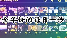 猫爪吃瓜,瓜果乐园的奇妙之旅