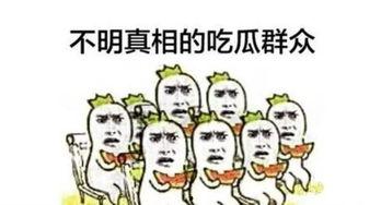 公考吃瓜,揭秘公务员考试背后的热点与趣闻