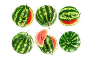 小夫吃玲珑瓜,一场味蕾与自然的邂逅