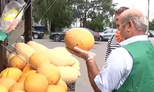 吃瓜250号,一场关于瓜子的狂欢盛宴