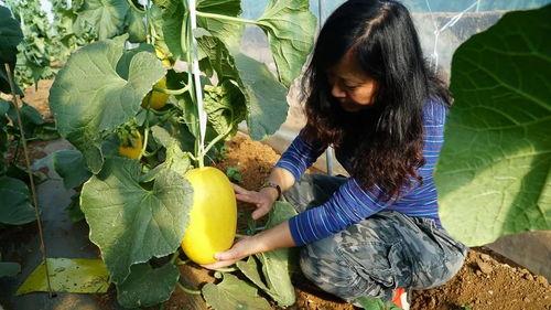 野生美术生带你吃瓜,野生美术生带你探秘美食瓜界