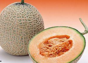 减肥下午几点吃哈密瓜,下午何时享用哈密瓜最宜？
