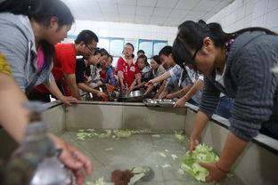 天全中学吃瓜,揭秘校园里的“瓜田”风云