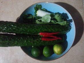 喜欢吃酸瓜,尽在心扉——探寻酸瓜的独特魅力