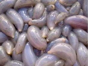 秦皇岛疫情吃瓜,吃瓜群众视角下的实时动态