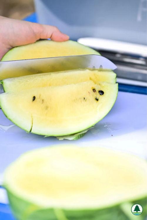 贴吧的瓜怎么吃