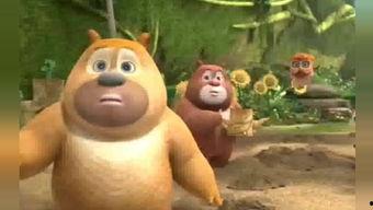 怎么吃熊瓜,解锁健康美味的食用新境界