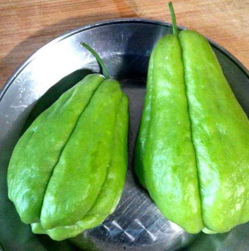 猫咪吃佛手瓜,佛手瓜美食之旅